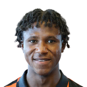 Dermane Karim